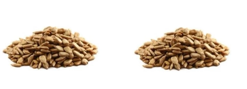 Sunflower Seeds: A Nutritional Boost for Athletes and Fitness Enthusiasts