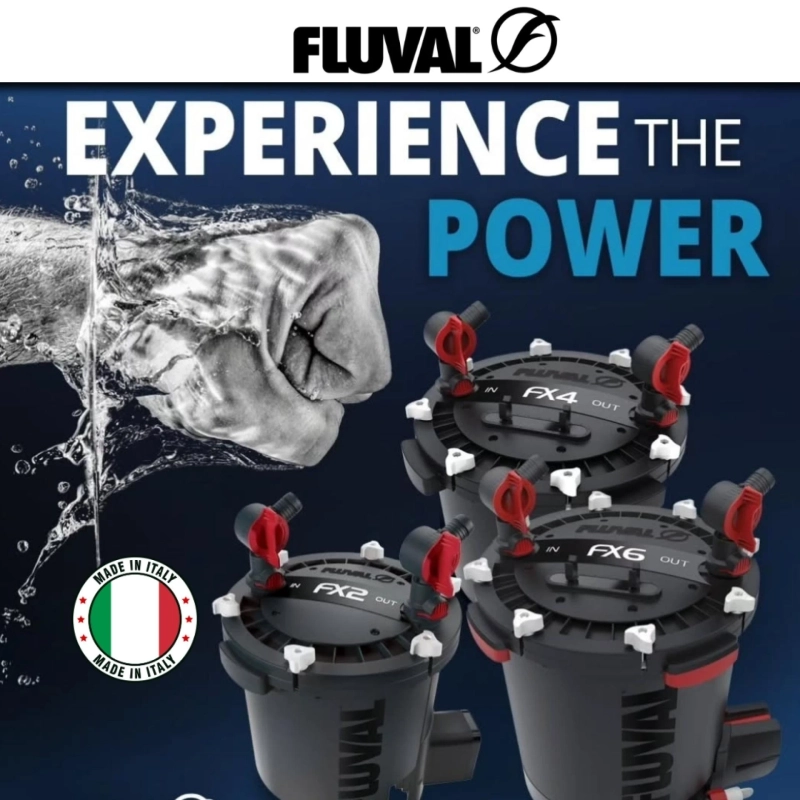 Fluval Aquarium Filters: Reliable Filtration for Healthy Fish Tanks