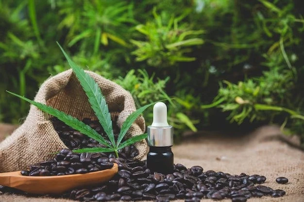 Benefits Of Buying Cannabis Seeds For Yourself