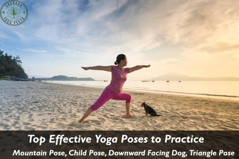 Top Effective Yoga Poses to Practice