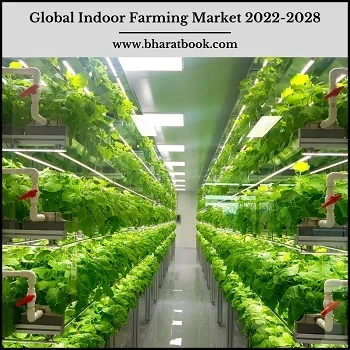 Global Indoor Farming Market Research Report 2022-2028