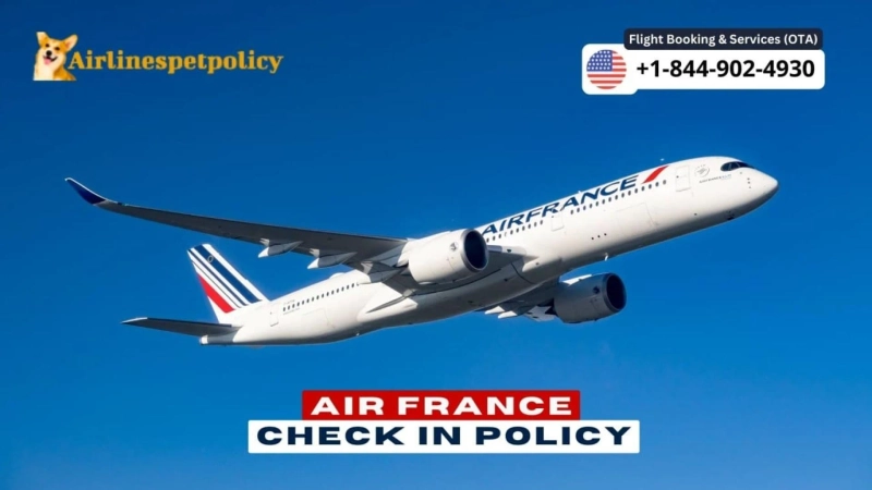 Air France Check In | Policy - Online Check In