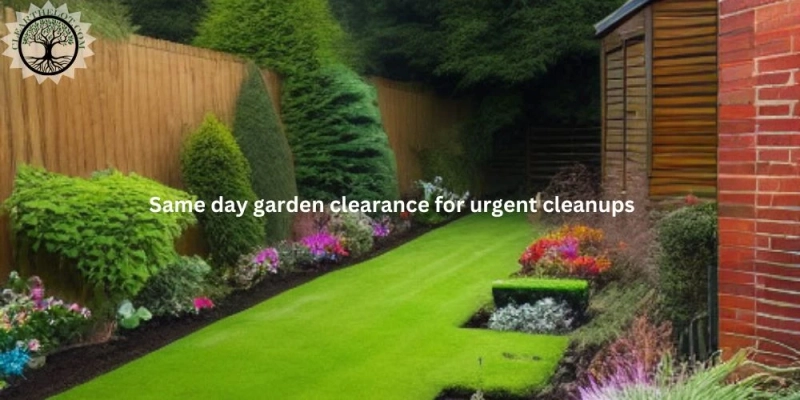 Same day garden clearance for urgent cleanups