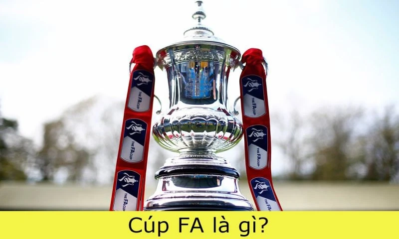 sự hình thành và những quy định về giải đấu cup FA