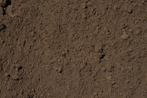 Exploring the Composition of Normal Soil