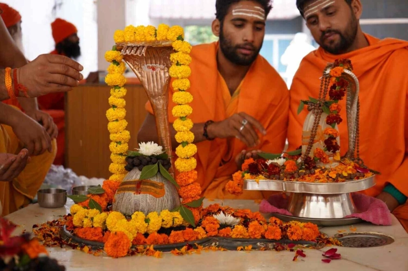 Shree Krishnayan Desi Gauraksha Evam Gaulok Dham Sewa Samiti’ is one of the largest Gaurakshashala o