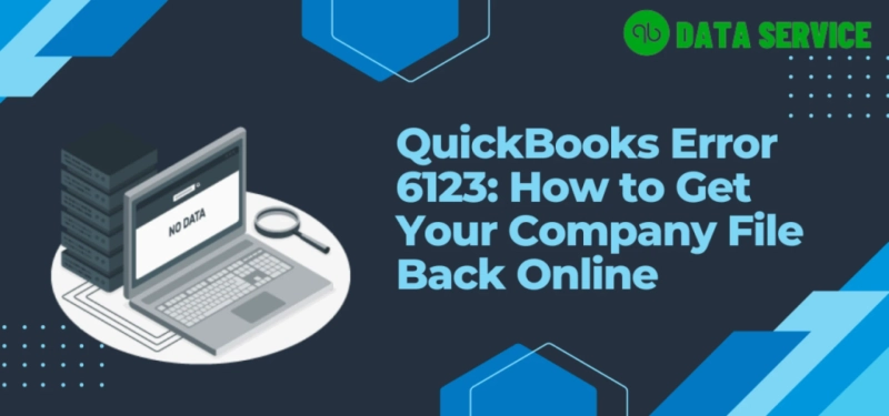 Understanding and Fixing QuickBooks Error 6123 0