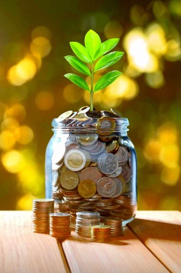 Finding the Best Savings Interest Rates in Ulster, NY: A Guide for Savers