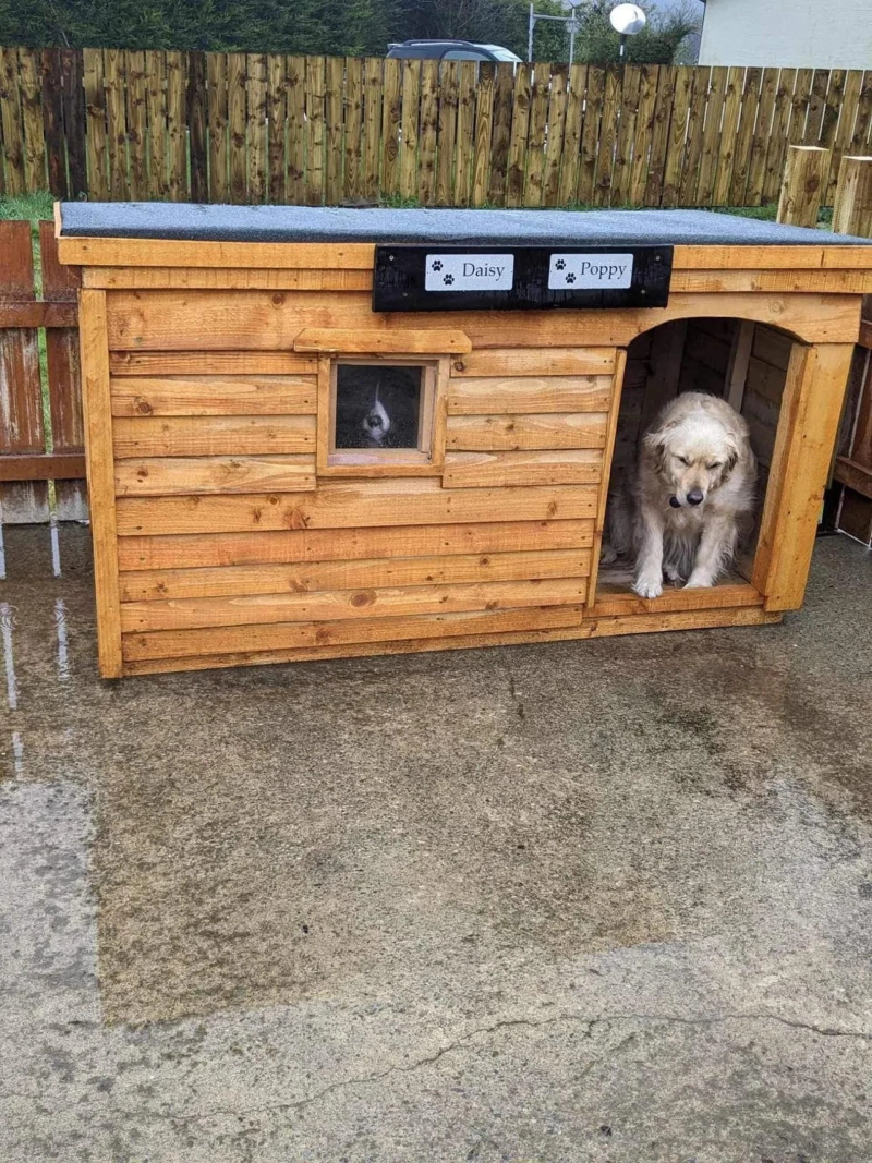 Comfortable and Safe Dog Kennels Tallaght for Your Pet’s Stay