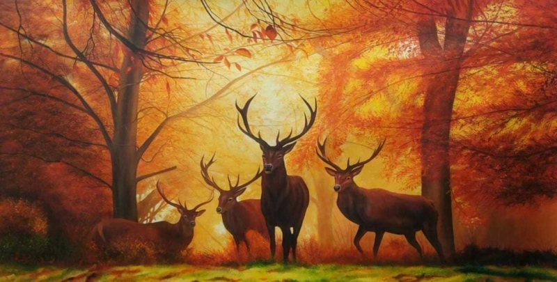 How Landscape Paintings Calm the Mind and Reduce Anxiety?