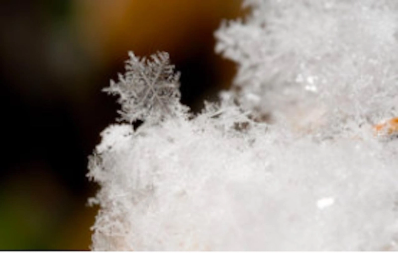 Documenting Creativity in a Global Cultural Capital