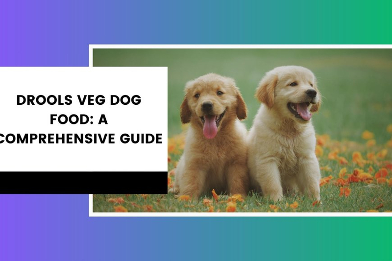 Drools Veg Dog Food: A Comprehensive Guide