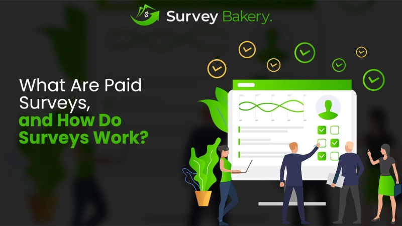 What Are Paid Surveys, and How Do Surveys Work?