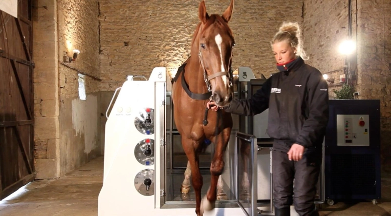 The Benefits of Water Treadmills for Equine Fitness and Rehabilitation