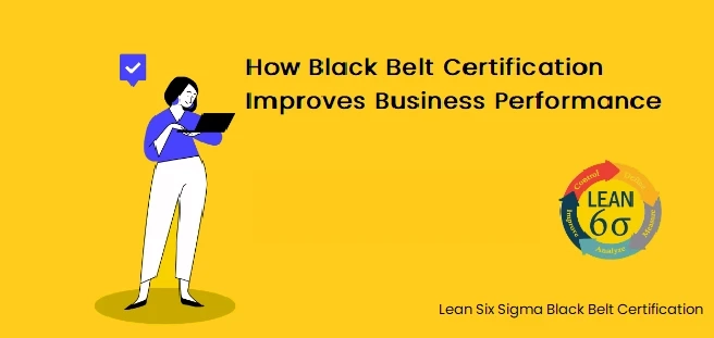 How Black Belt Certification Improves Business Performance