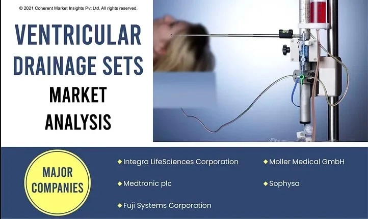 Key Players and Competitive Landscape in the Ventricular Drainage Sets Market