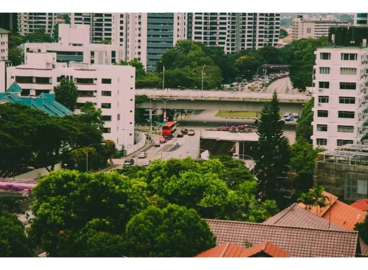 The Side of Singapore Most Travelers Don’t Expect to See