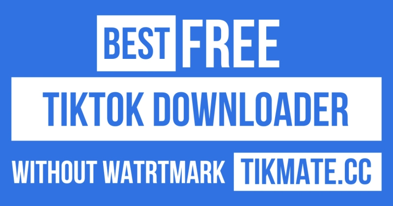 TikMate- Best TikTok Downloader Tool for Free