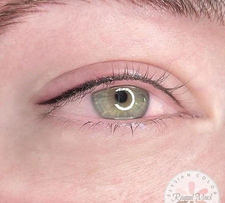 Permanent Eyebrows Through Cosmetic Tattoo Alabama