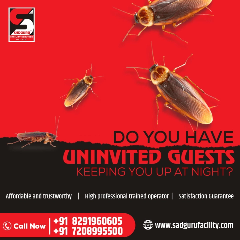 Pest Control Services in Kandivali - Sadguru Pest Control