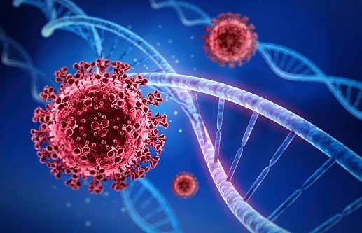 Can Air Purification System help fight COVID-19?
