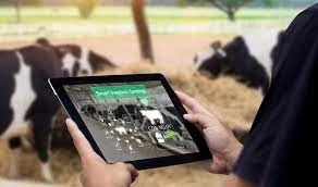 Livestock Monitoring Market Size 2021 | Opportunities, Demand And Forecast To 2030 | GET FLAT 20%