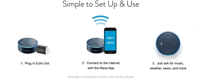 How to set up Echo Dot?