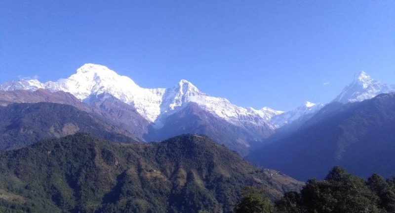 Is Mardi Himal Trek for Beginners? A Comprehensive Guide