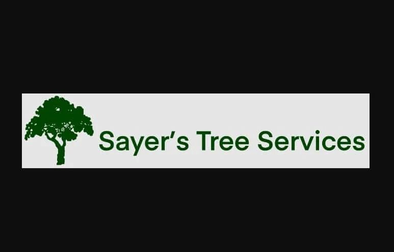 Specialists In Tree Care Supply Some Exceptional Planting Strategies