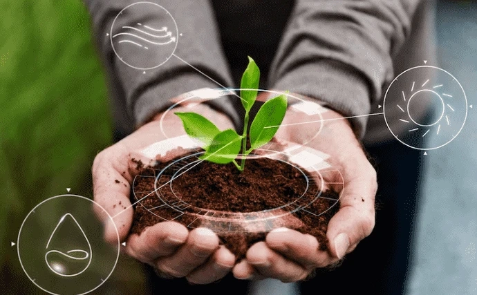 How Much Does Crop Insurance Cost? 