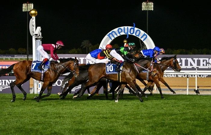 Dubai Equestrian Procurement Forum on October 23