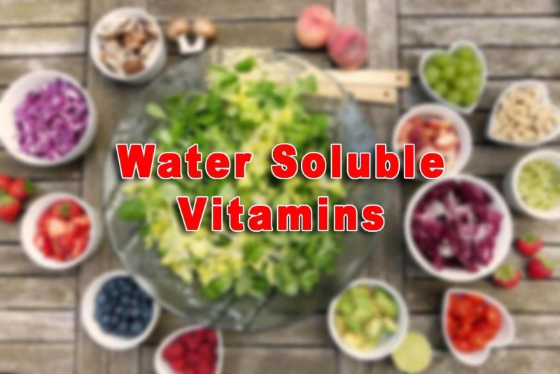 Water-Soluble Vitamin Market Key Players, Share, Dynamics & Forecast Report to 2028