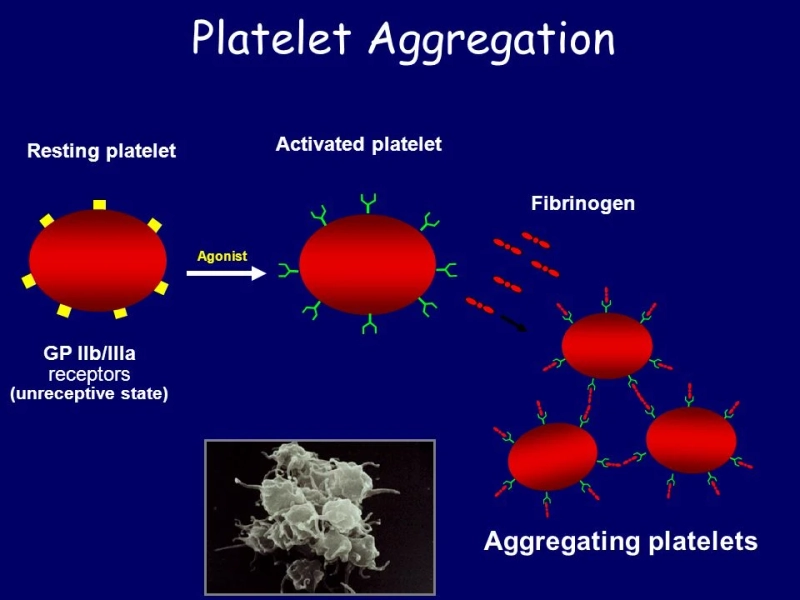 Platelet Aggregation Devices Used To Determine The Capabilities Of Platelets Through The Use Of Platelet Aggregation Devices