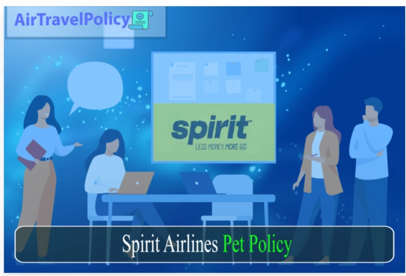 Spirit Airlines Pet Travel Policy - AirTravelPolicy