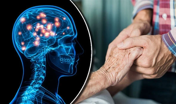 Huntington's Disease Treatment Market Share, Industry Insights, and Report 2024-2032