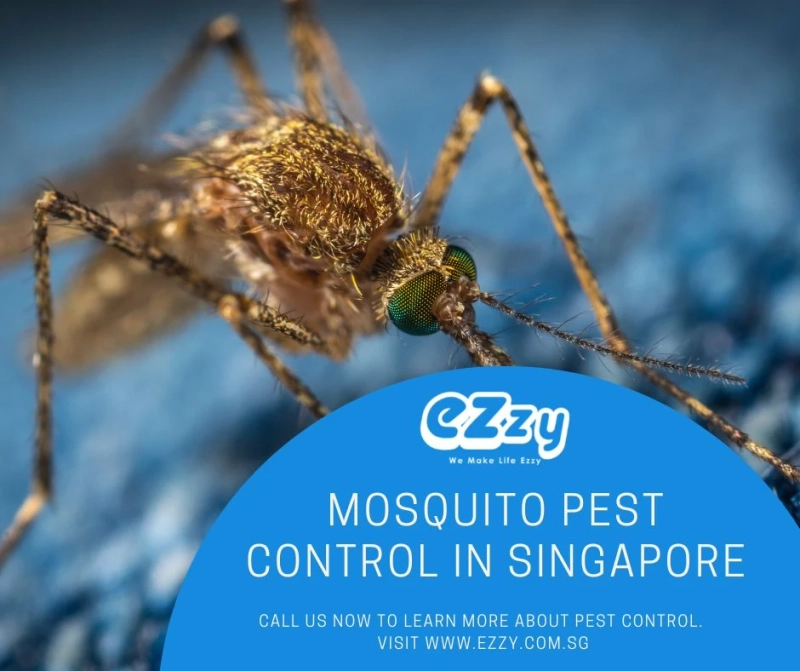 Mosquito Prevention | Singapore - Ezzy