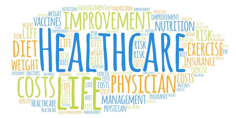 Role of the Government in Health
