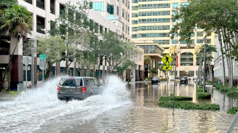 What Are The Different Ways To Prevent Water Damage In Your Home