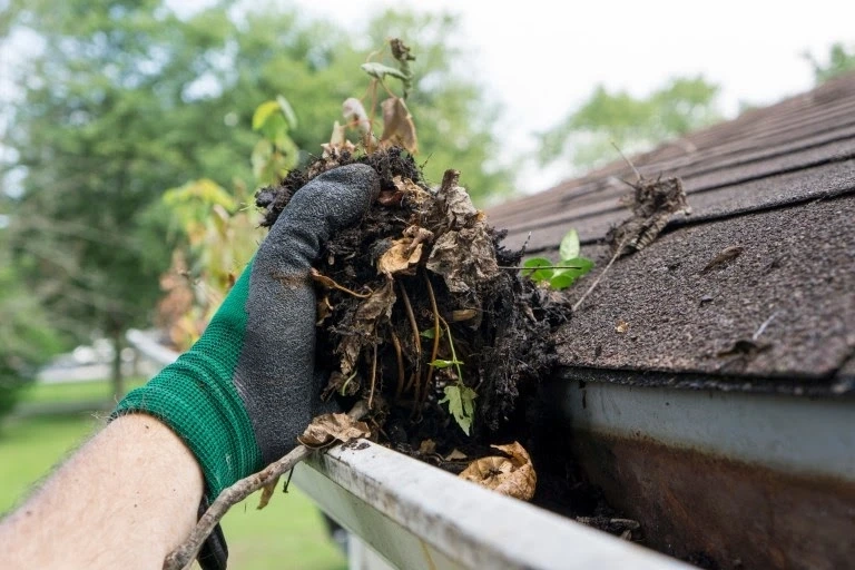 How to Clean Gutters and Downspouts