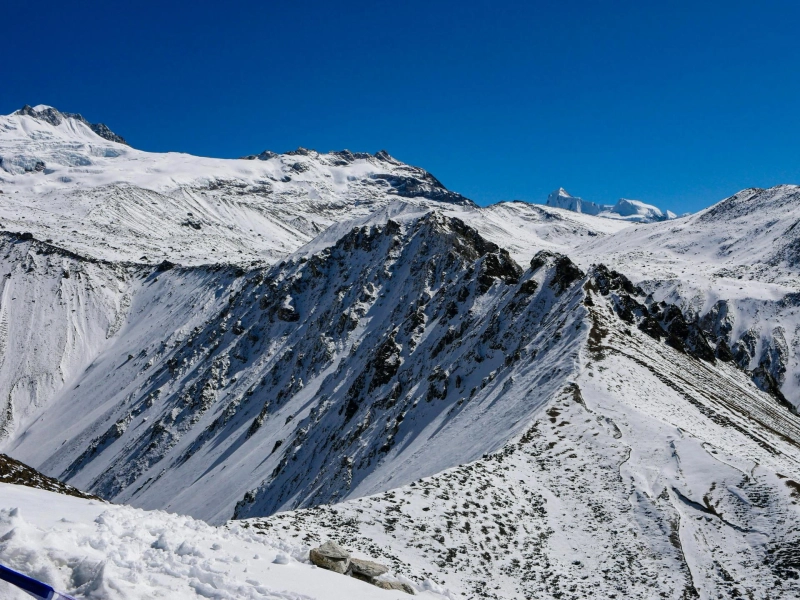 Unlock Nature’s Secrets: A Life-Changing Langtang Valley Trek