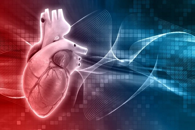 How To Take Care Post Heart Attack?