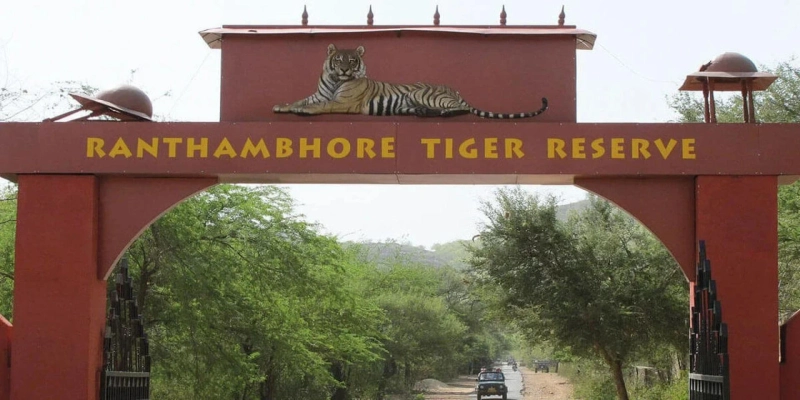 Ranthambore National Park in Rajasthan – Discover the Land of Royal Tigers