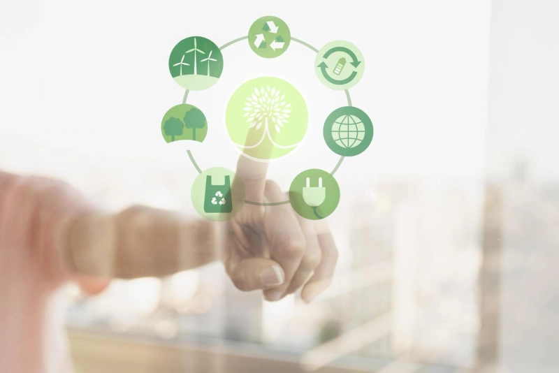 What Is The Purpose of Recycling? How Effective Is It?