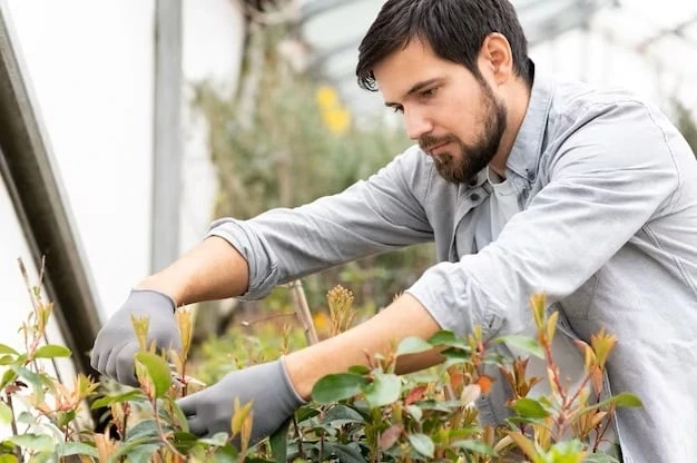 Agricultural Business Setup In UAE