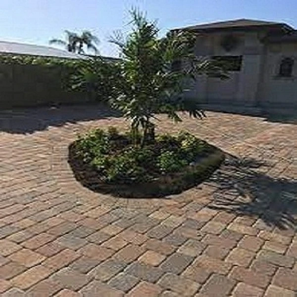 Taking the First Step For Lawn Care