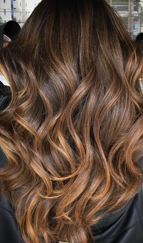 Stunning Balayage Hair Color By Professional Makeup Artist