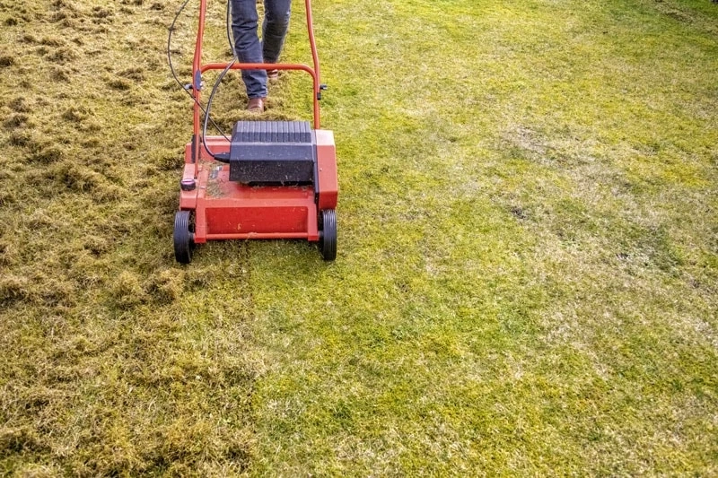 How To Choose The Best Dethatching Blade For Your Lawn Mower