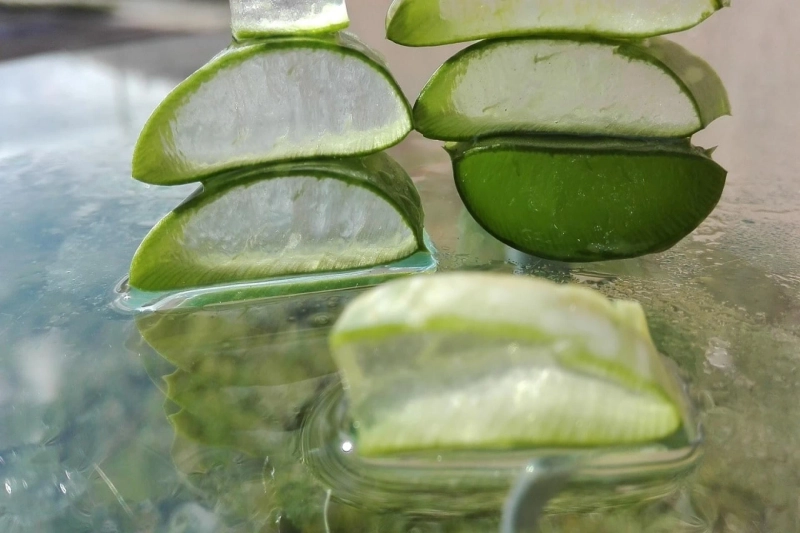 Proven Aloe Vera Benefits And Uses
