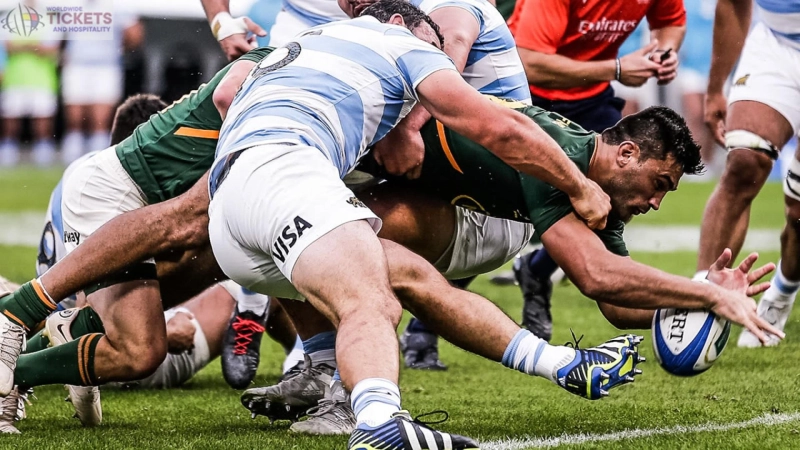 Rugby World Cup All you need to know about RWC 2023