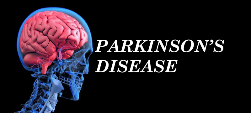 Parkinson's Disease Unveiled: Diagnosis, Treatment Strategies, and Market Dynamics